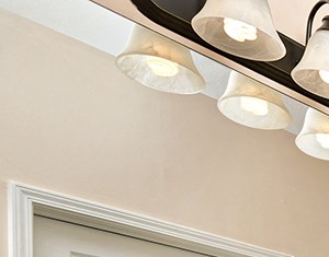 Magnolia Model